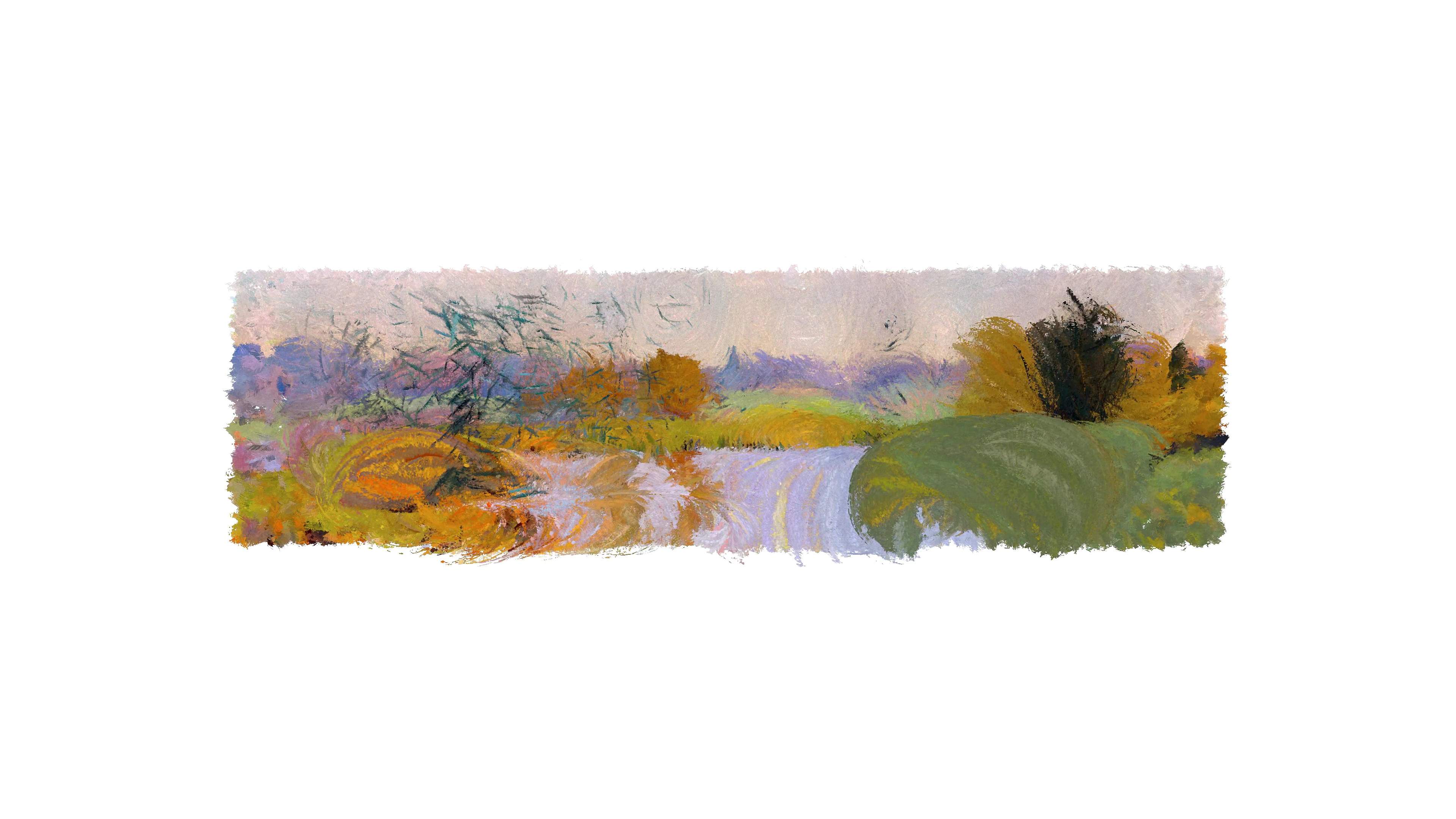 Studies of Artificial Landscapes